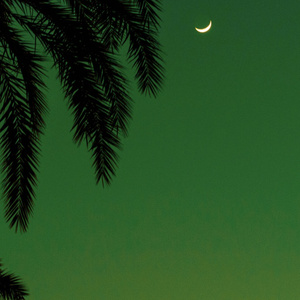 裸体比基尼美女虑待尿口
