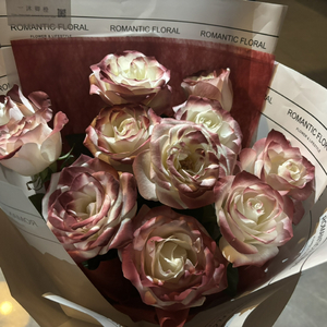 裸体比基尼美女虑待尿口
